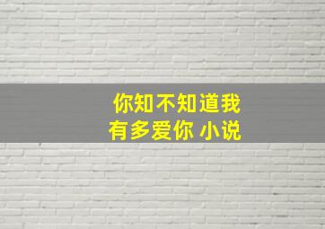 你知不知道我有多爱你 小说